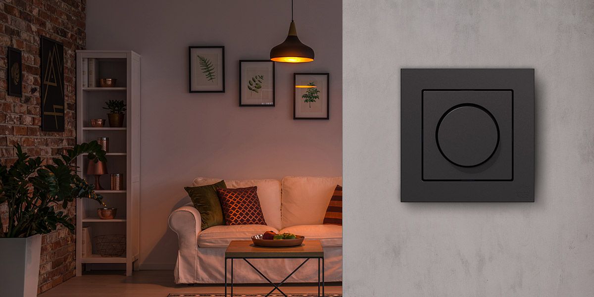 Schwarzer Lichtdrehschalter an grauer Wand, dahinter Wohnzimmer mit Sofa, Tisch, Regal, Pflanzen und gedimmtem Licht.